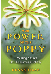 The Power of the Poppy