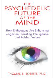 The Psychedelic Future of the Mind