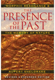 The Presence of the Past