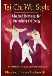 Tai Chi Wu Style