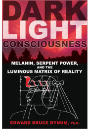 Dark Light Consciousness