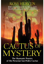 Cactus of Mystery