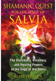 Shamanic Quest for the Spirit of Salvia