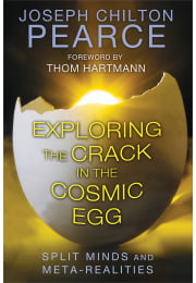 Exploring the Crack in the Cosmic Egg