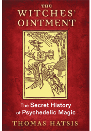 The Witches' Ointment