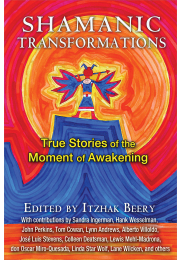 Shamanic Transformations