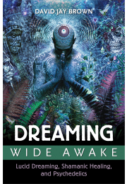 Dreaming Wide Awake