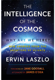 The Intelligence of the Cosmos
