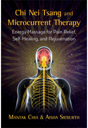 Chi Nei Tsang and Microcurrent Therapy