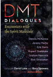 DMT Dialogues