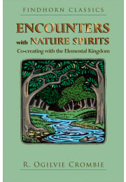 Encounters with Nature Spirits