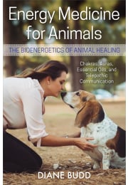 Energy Medicine for Animals