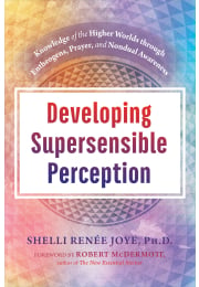 Developing Supersensible Perception