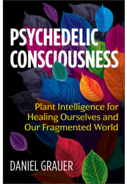 Psychedelic Consciousness