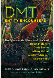 DMT Entity Encounters