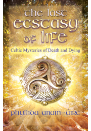 The Last Ecstasy of Life