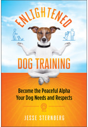Enlightened Dog Training