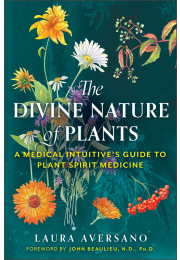 The Divine Nature of Plants