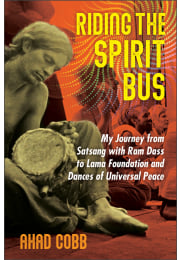 Riding the Spirit Bus