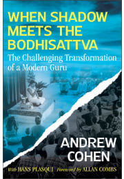 When Shadow Meets the Bodhisattva