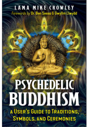 Psychedelic Buddhism