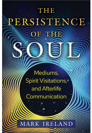 The Persistence of the Soul