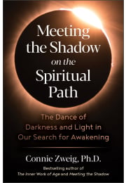 Meeting the Shadow on the Spiritual Path