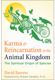 Karma and Reincarnation in the Animal Kingdom