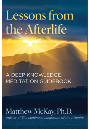 Lessons from the Afterlife