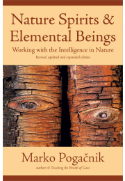 Nature Spirits & Elemental Beings