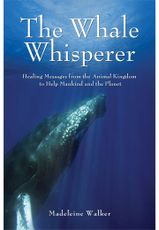 The Whale Whisperer