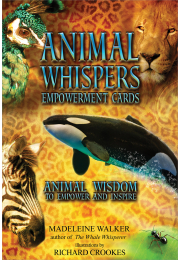 Animal Whispers Empowerment Cards