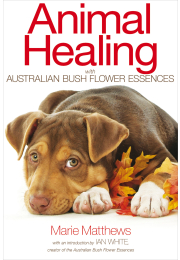 Animal Healing with Australian Bush Flower Essences