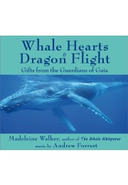 Whale Hearts and Dragon Flight