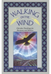Walking on the Wind
