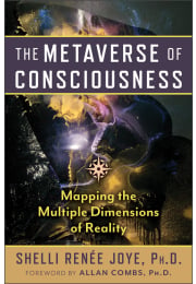 The Metaverse of Consciousness