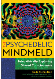 The Psychedelic Mindmeld
