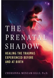 The Prenatal Shadow