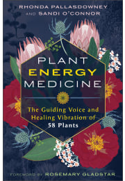 Plant Energy Medicine