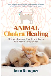 Animal Chakra Healing