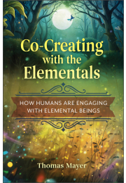 Co-Creating with the Elementals