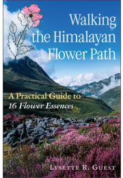 Walking the Himalayan Flower Path