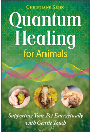 best books on vibrational energy The Handy Fleshlight main image 0