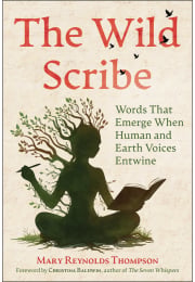 best books about energy and vibrations Vibe | Book by Robyn Openshaw | Official Publisher Page main image 0