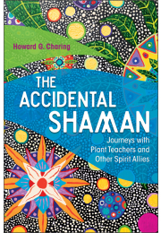 The Accidental Shaman