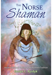 The Norse Shaman