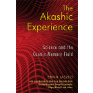 The Akashic Experience