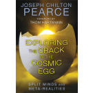 Exploring the Crack in the Cosmic Egg