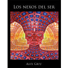 Los nexos del ser