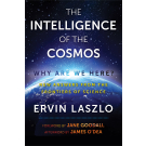 The Intelligence of the Cosmos